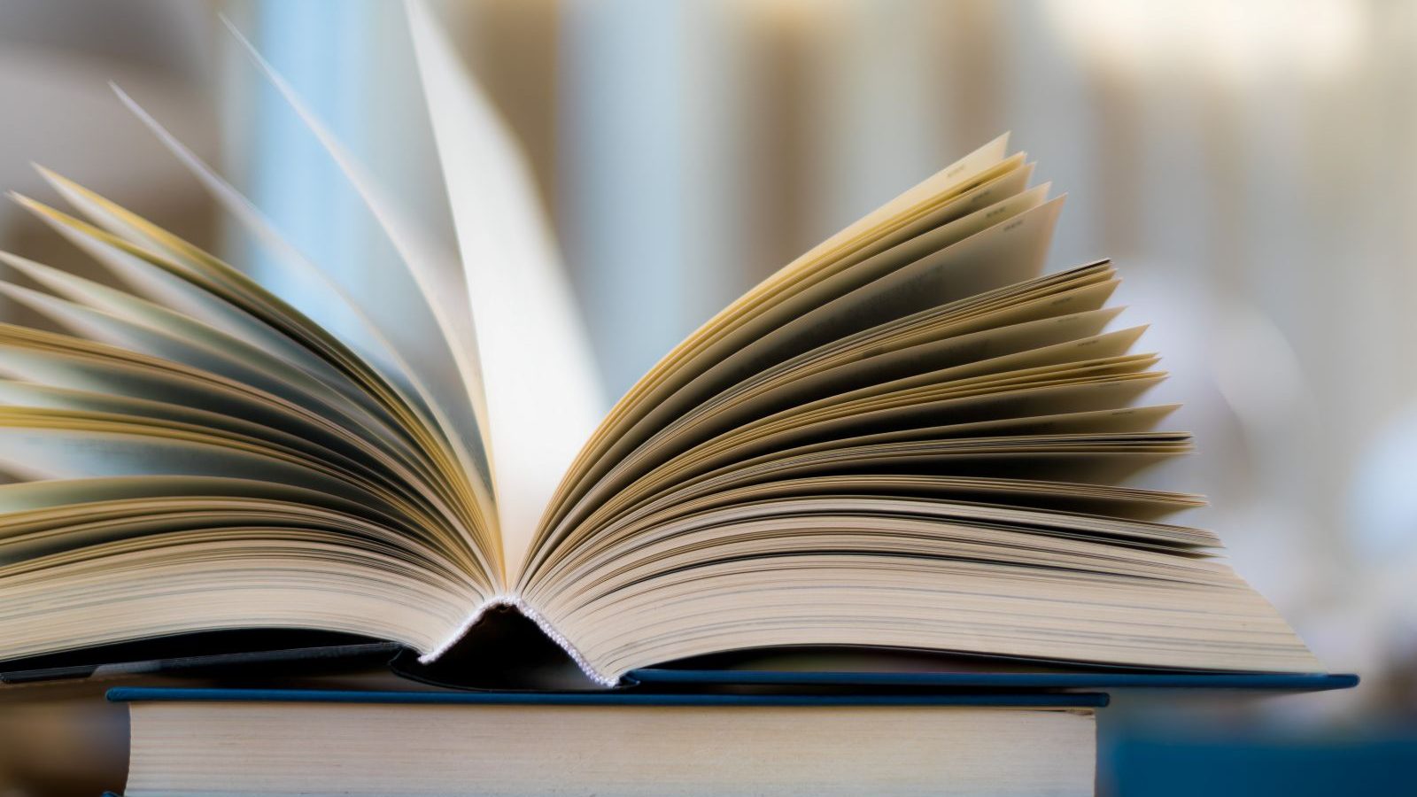Foto: monticellllo/AdobeStock