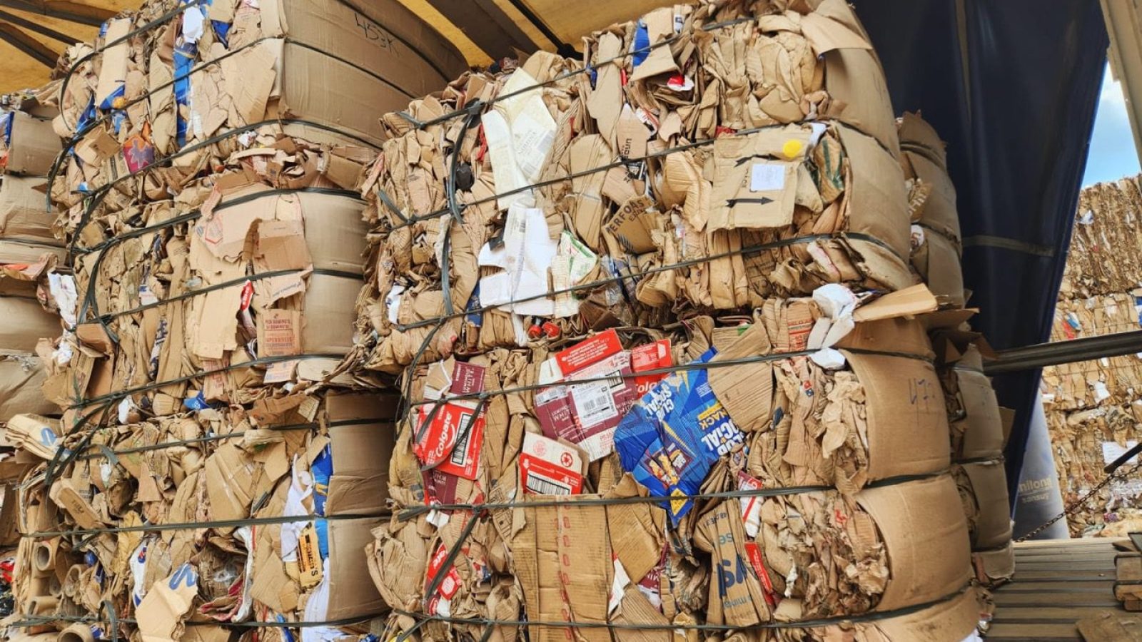 Aparas iFood (7) Foto: divulgação.