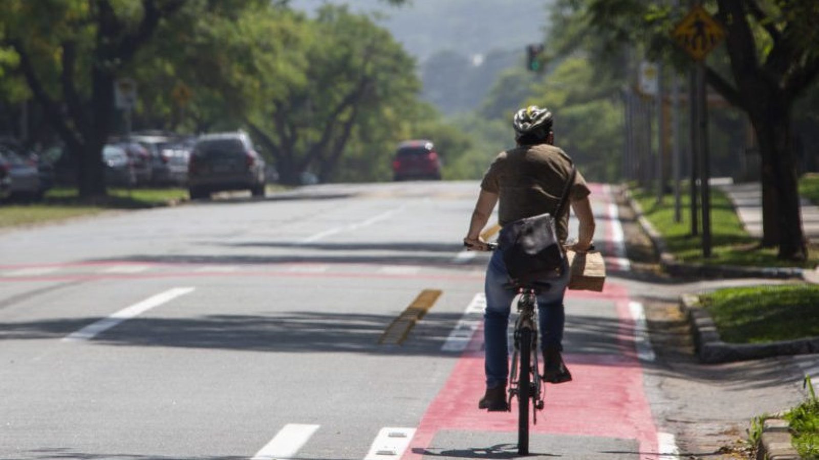 Ciclovia da Avenida Professor Lineu Prestes, na Cidade Universitária. Foto: Marcos Santos.