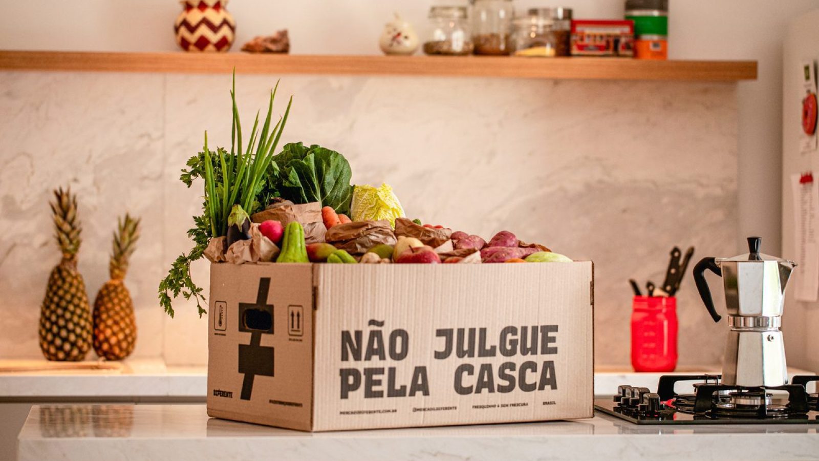 Foto: divulgação.