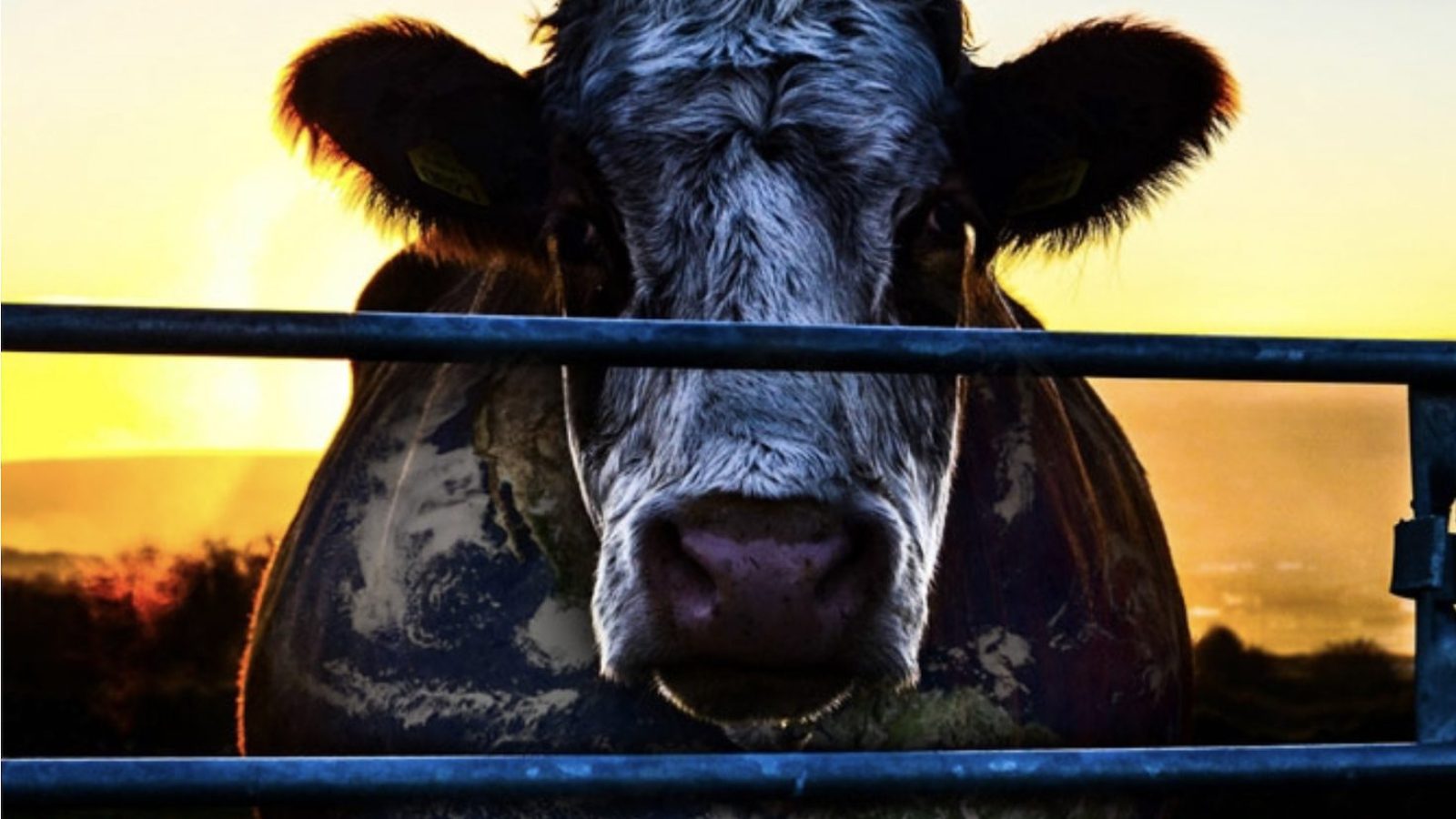 Foto: Cowspiracy.