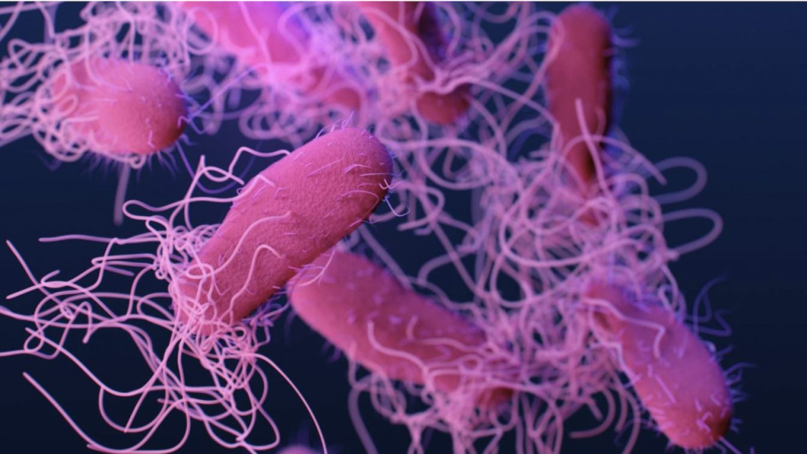 Econ SP foto – Novembro Foto: Canva.