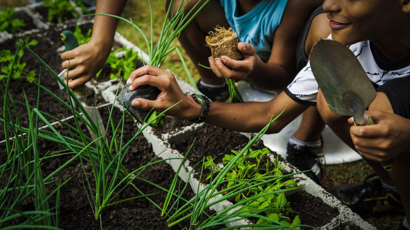Imagem do WhatsApp de 2023-04-12 à(s) 14.40.51 Foto: divulgação.