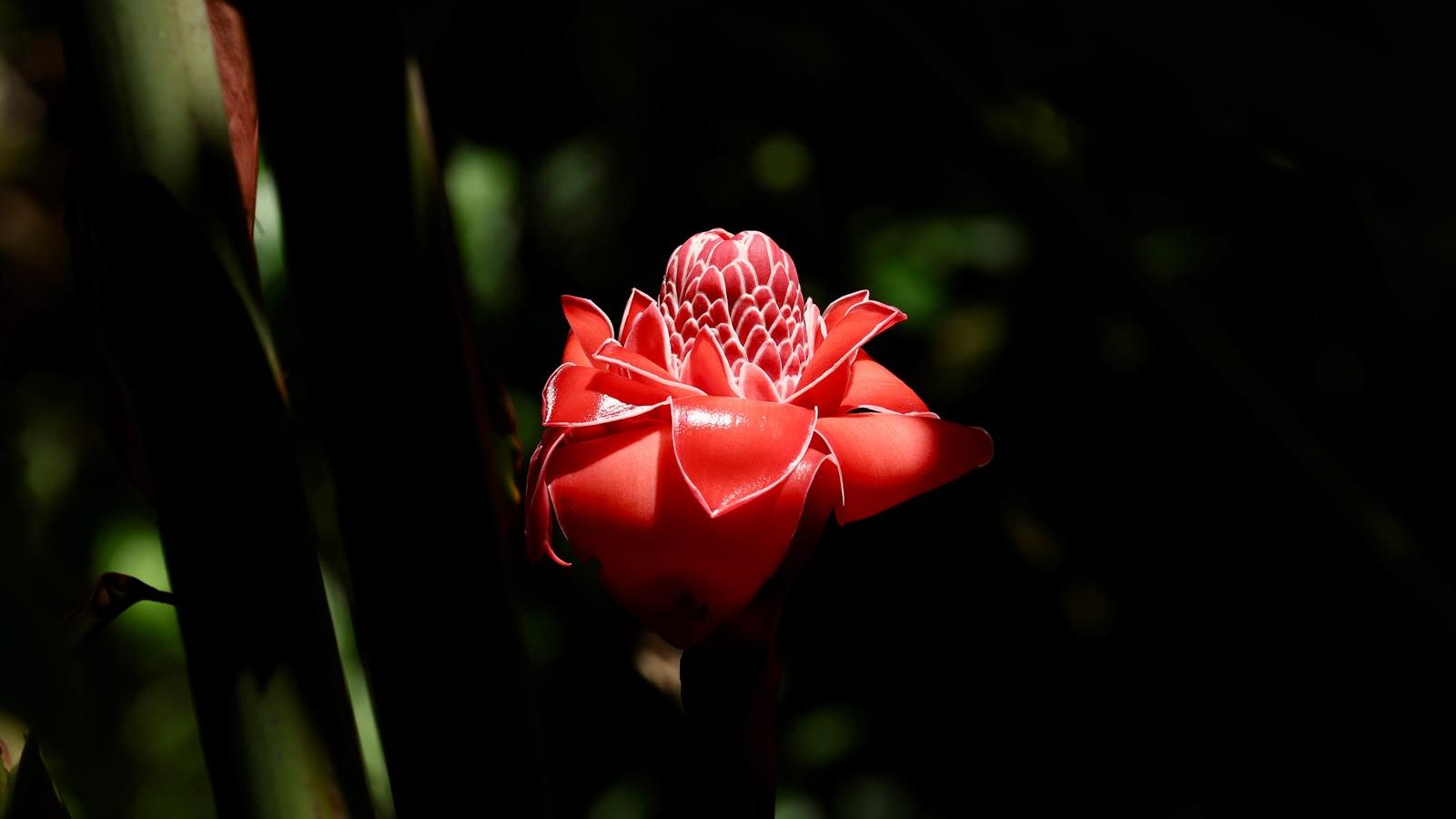 Foto: @sufounditpretty