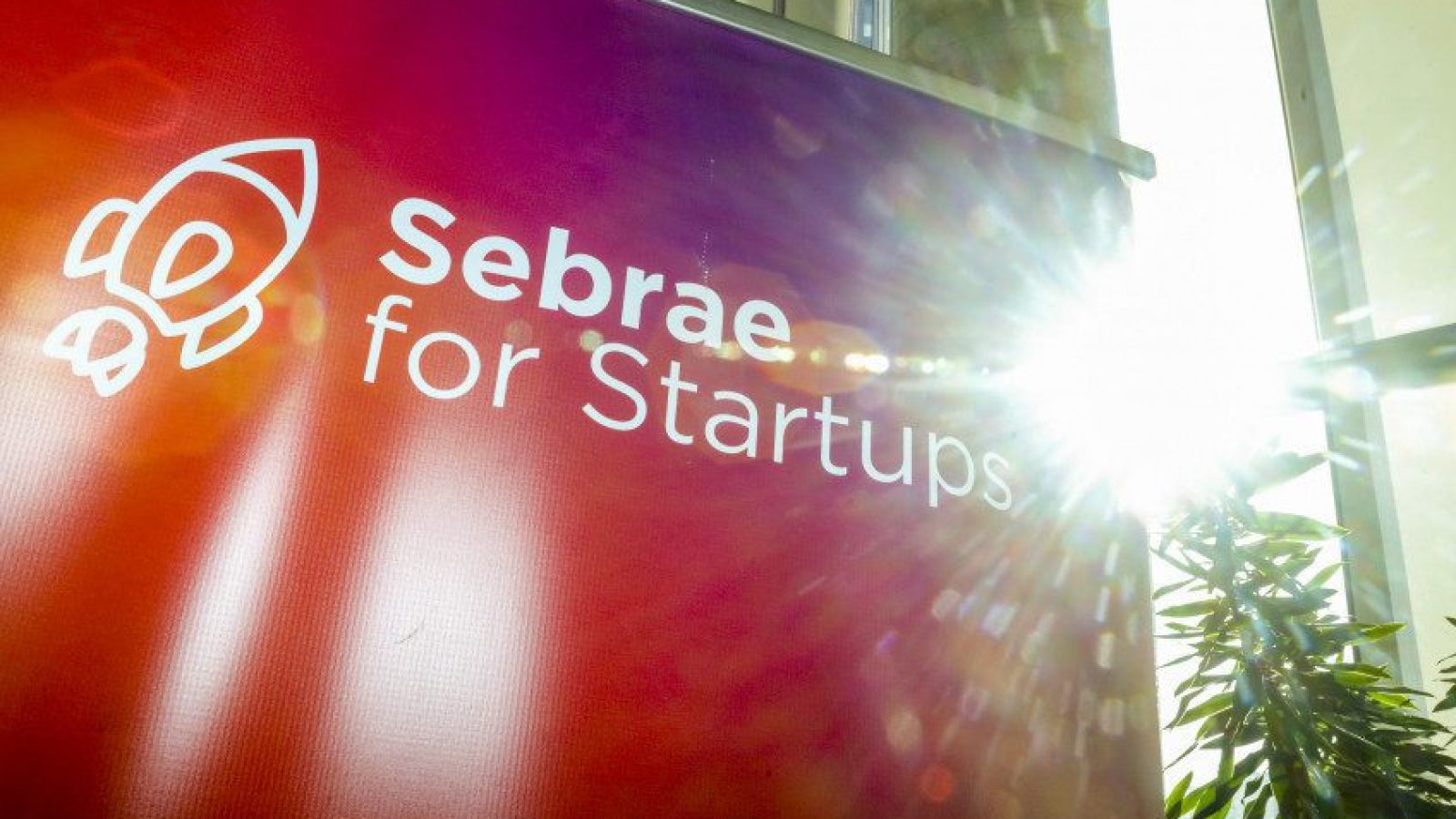 Sebrae for Startups Foto: divulgação.