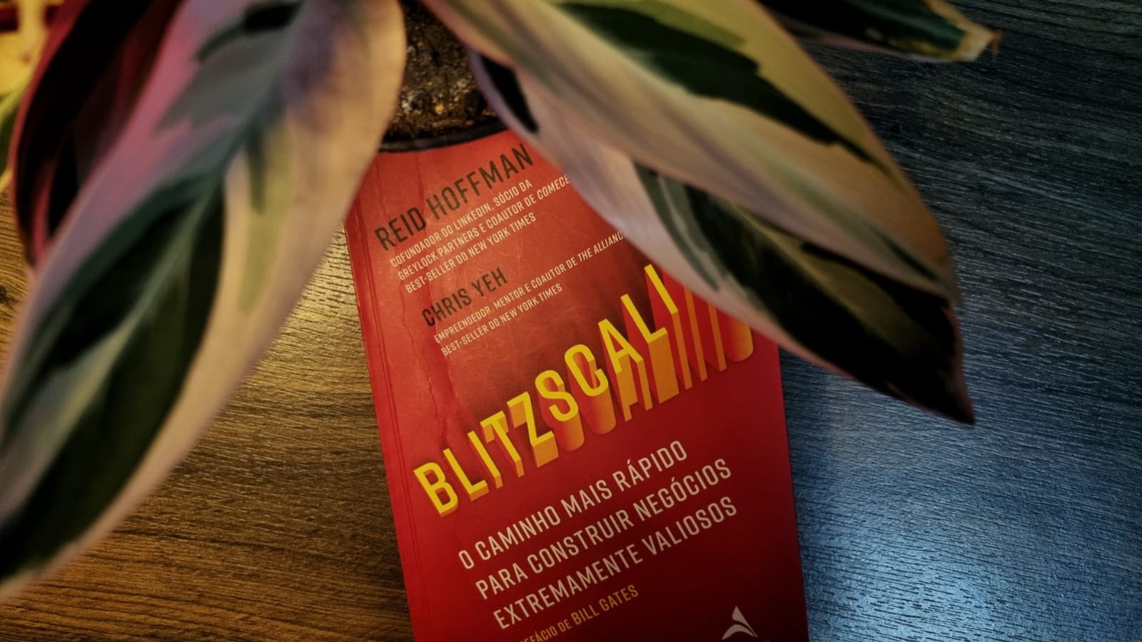 Foto: Ana Paula Dahlke