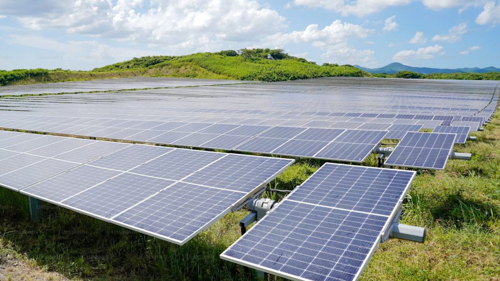 WhatsApp-Image-2024-07-10-at-08.49.07 Foto: divulgação.