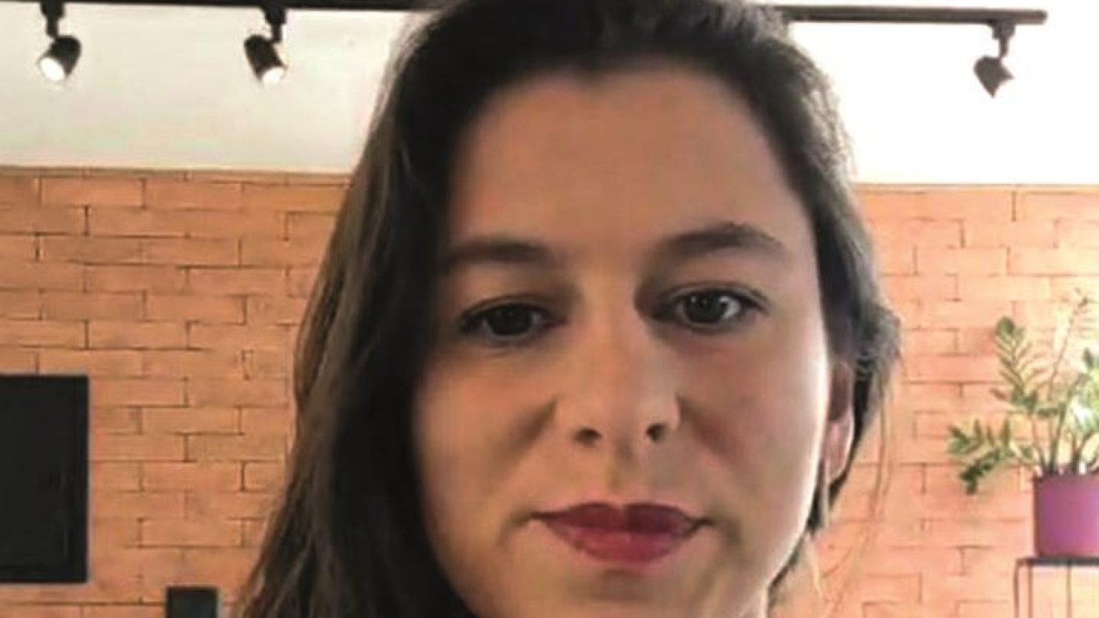 Foto: divulgação.