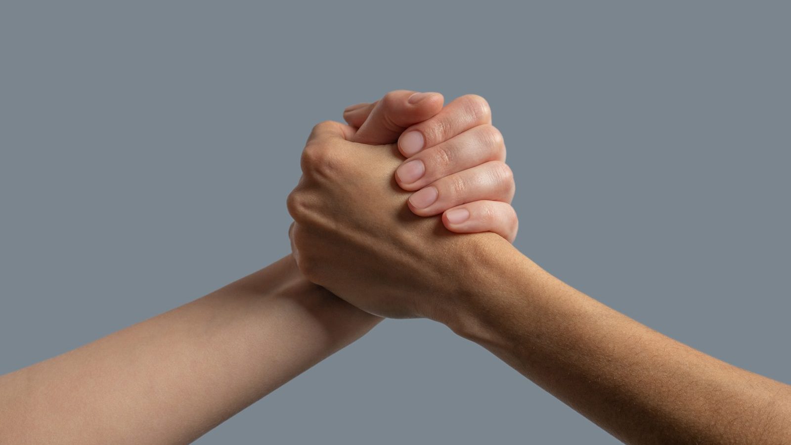 Foto: zinkevych/AdobeStock