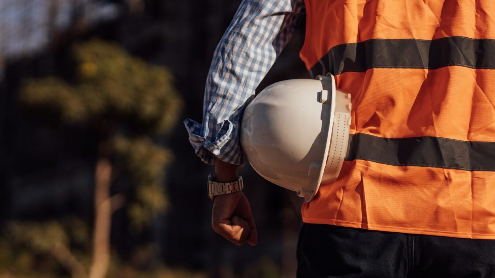 Foto: Oulaphone/AdobeStock