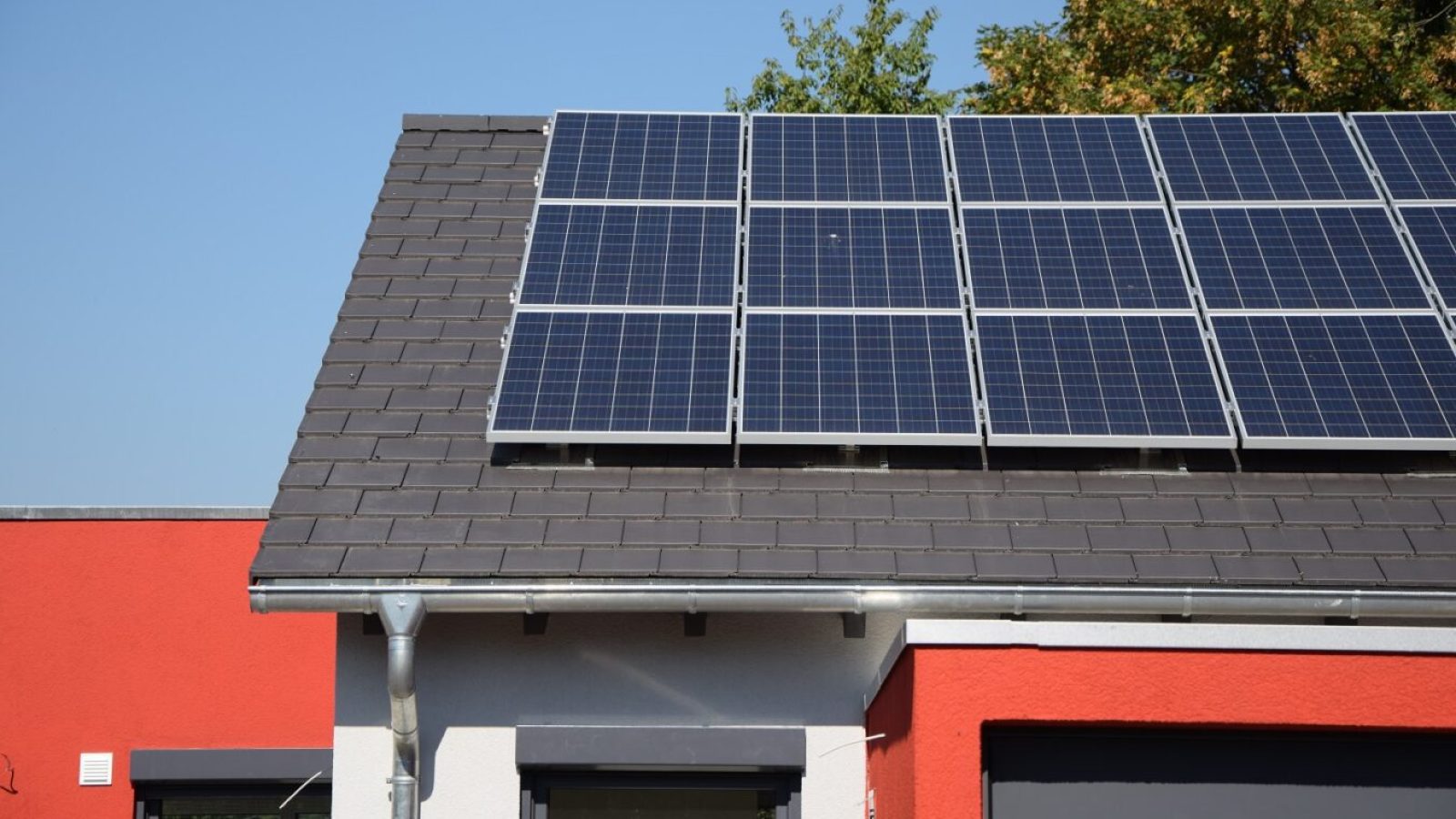 edmond Foto: Fotolyse/AdobeStock