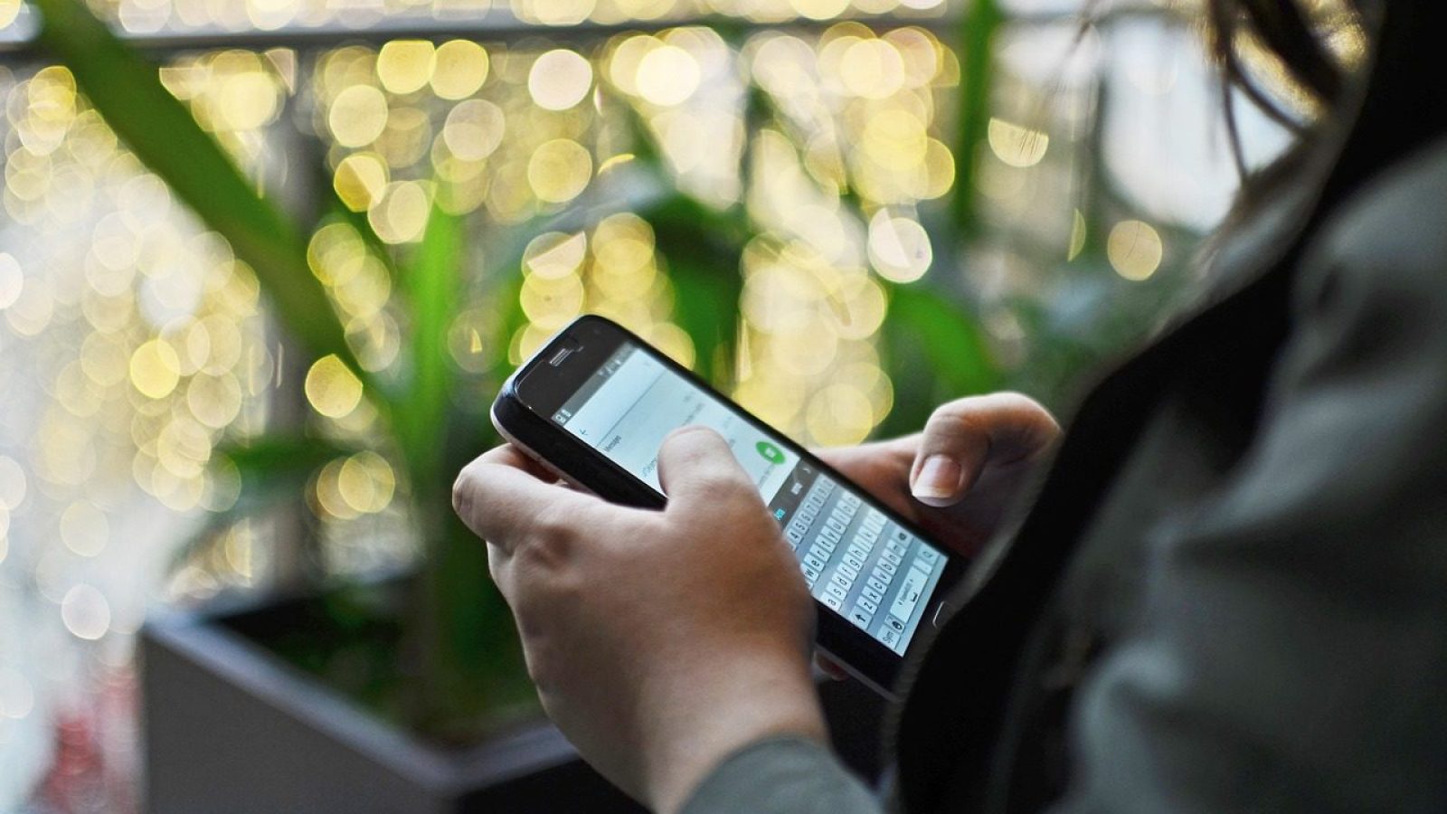 Foto: afra32/Pixabay