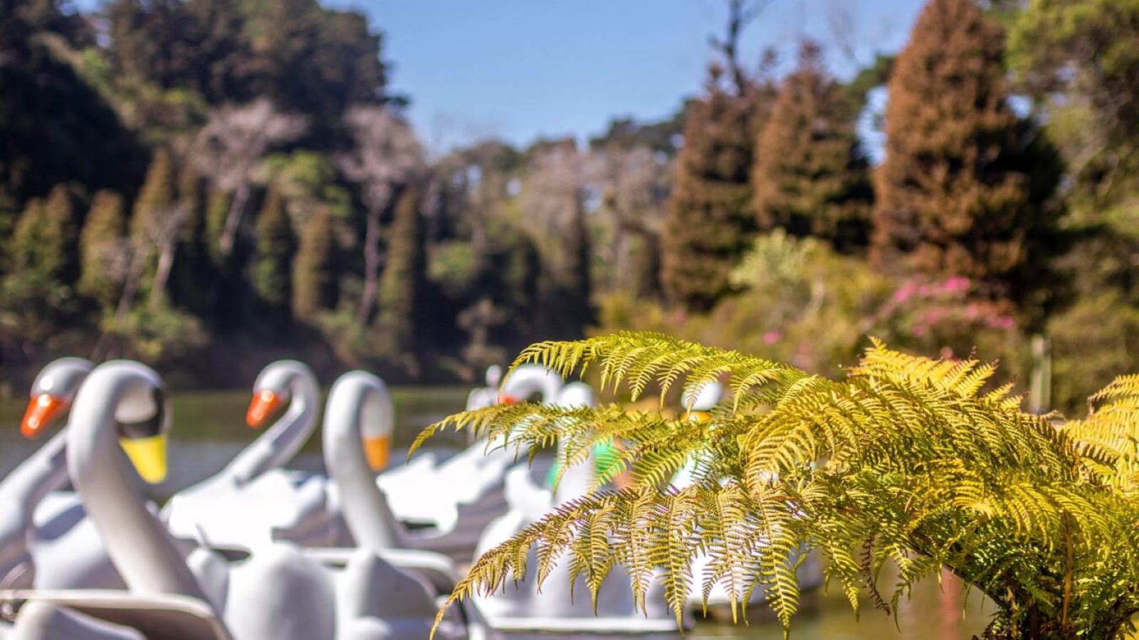 Foto: Elton/AdobeStock