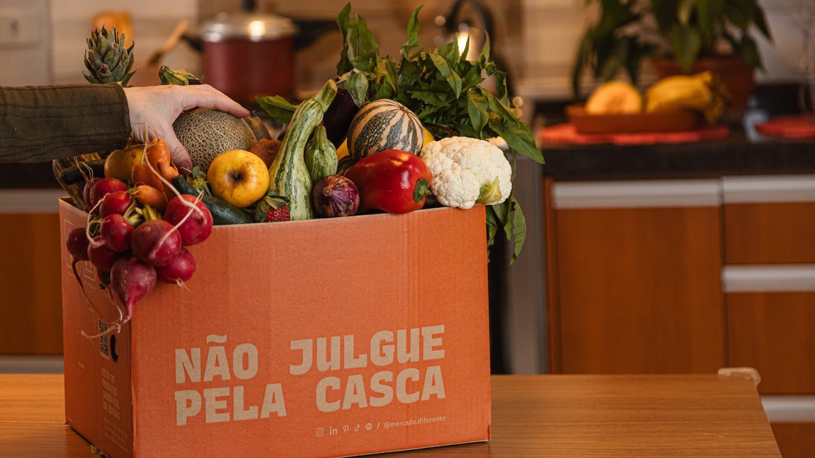 legumes orgânicos legumes orgânicos