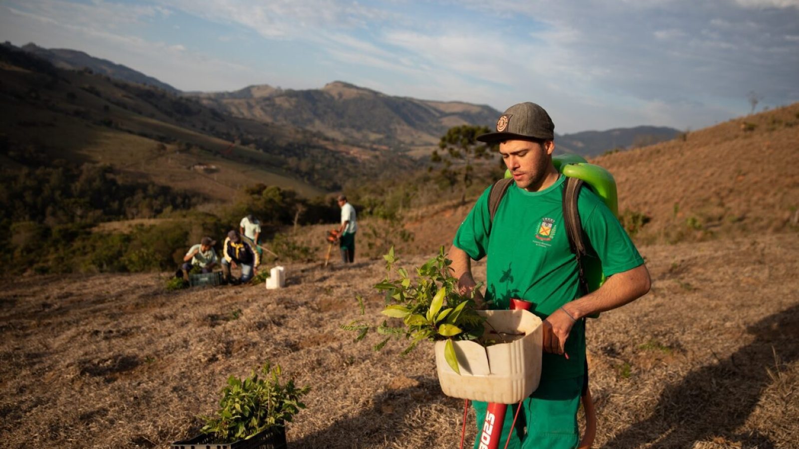 Foto: divulgação/Mercado Livre