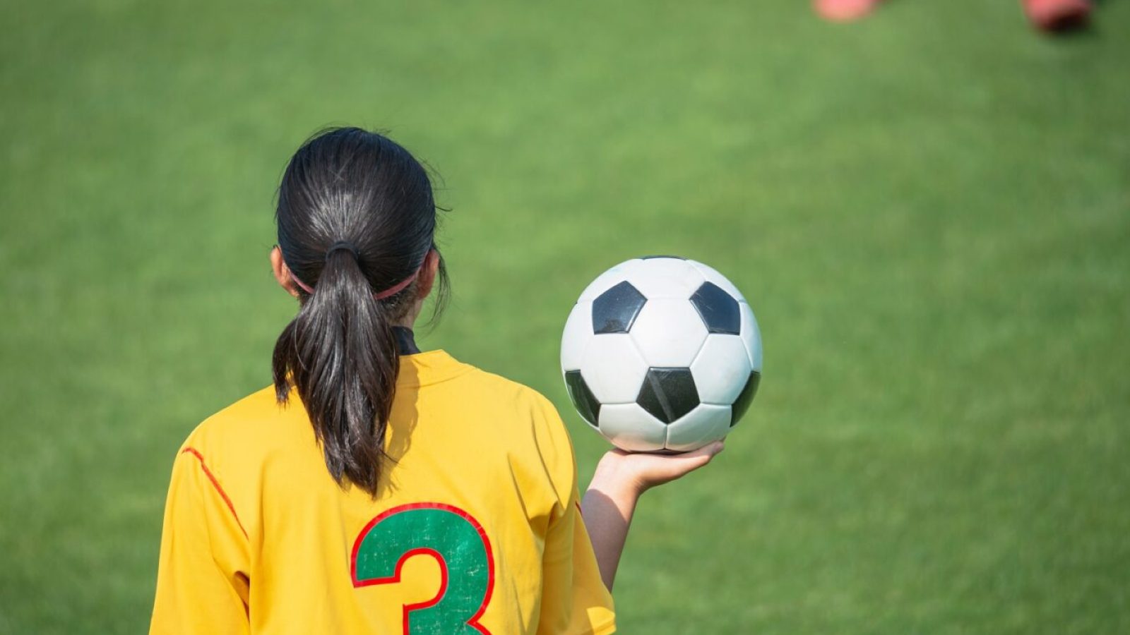 rei do pitaco Foto: mtaira/AdobeStock