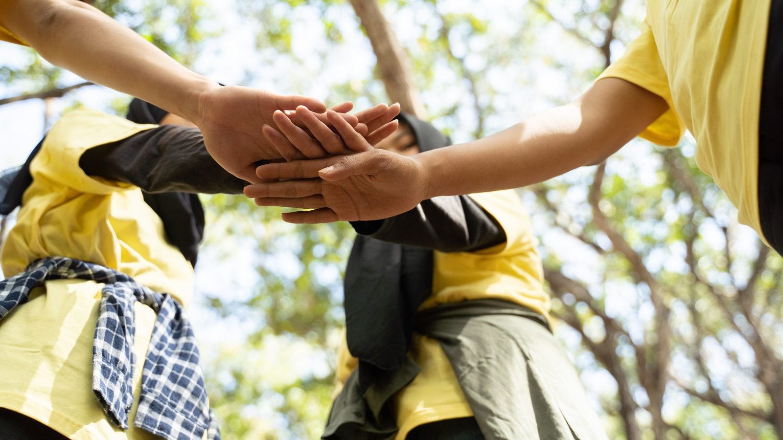 responsabilidade social