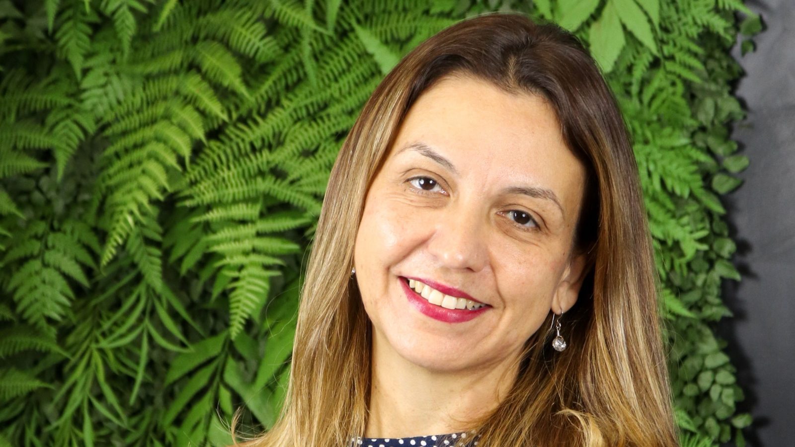 Foto: divulgação.