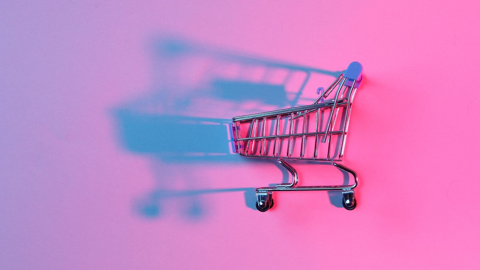 Foto: splitov27/AdobeStock